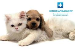Услуги ветеринаров.