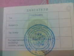 Suzuki. 1995 ��� ����