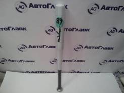 Бита в Томске