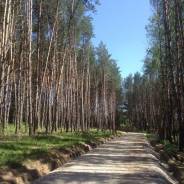 Участок на берегу Оки в 100 км от МКАД по Симферопольскому шоссе. 1 100 кв. м., собственность, электричество, вода, от агентства недвижимости (посредн...