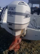 Johnson. 225��.�., 2-�������, ����������, ���� L (508 ��), 2000 ���. ��� ����� �� ������������ ����