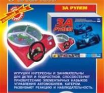Игры за рулем. Под заказ