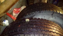 Bridgestone 738V. ������, ��� �����, 2012 ���, 5�%, 2 ��