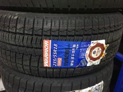Warrior. ������, ��� �����, 2018 ���, �����. ��� ����� �� ���� ����