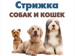 Стрижка.