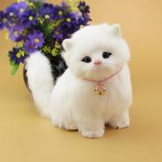 ����, �������, ���������� ������. ����