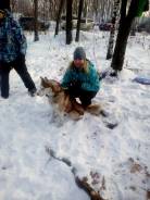Помощник кладовщика. Среднее образование, опыт работы 4 года