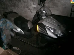 Irbis Nirvana. 150����. ��., ��������, ��� ���, � �������� ����