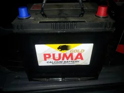Puma. 65��.�. ����