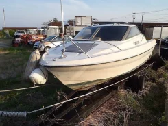 Yamaha LS. 1995 ���, ����� 6��., ��������� ���������, ������ ����