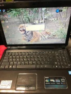 Asus K50IJ. 15.6", 2����, ��� 4 ��, ���� 250���, WiFi: 1, Bluetooth: 1, ����������� �� 1��. ����