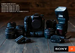 Sony Alpha SLT-A77. 20 � ����� ��, ���: 14� � ����� ����