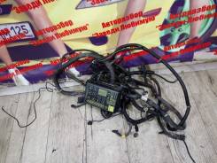Проводка двс. ЗАЗ Шанс ЗАЗ Сенс Двигатель MEMZ307