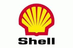 Shell. синтетическое