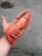 Все морепродукты в одном месте