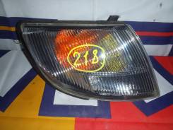 Габарит NISSAN RNESSA