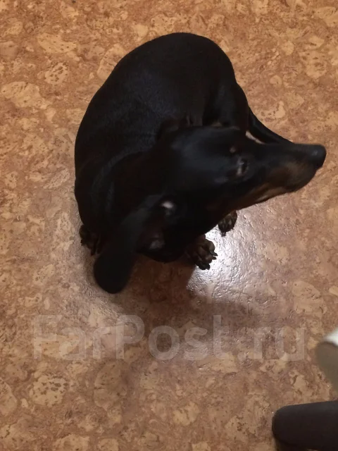 �����. ����