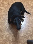 �����. ����