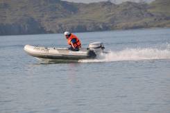 Evinrude. 25,00 л.с., 2х тактный, бензин, нога S (381 мм), Год: 2014 год