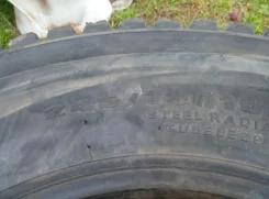 Dunlop Dectes SP001. ������, 2014 ���, �/�, ����� 50 % ����