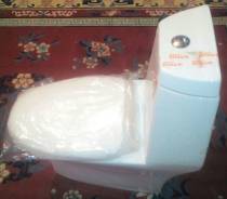 Унитазы напольные.