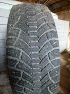 Cordiant Polar SL. ������, ����������, 2013 ���, 10�%, 1 ��