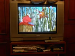 Toshiba. CRT (���) ����