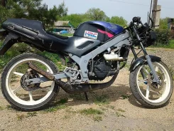Honda NS 1. 50����. ��., ��������, ���������, ������ �� �� ����