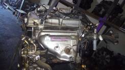 Двигатель в сборе. Mazda Familia, BJ5W Двигатель ZLDE