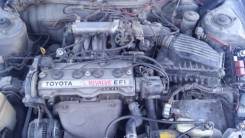 Радиатор охлаждения двигателя. Toyota: Corolla, Corolla Levin, Carina, Sprinter, Celica, Sprinter Trueno, Corona, Carina II, Sprinter Marino, Corona E...