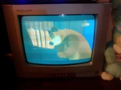 Sharp lc-26le430