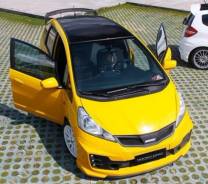 Обвес кузова аэродинамический. Honda Fit, GE7, GE6, GP1, GE9, GP4, GE8. Под заказ