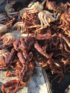 Купим Любые Морепродукты От 1кг