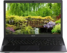 DEXP Achilles. 15.6", 2,6����, ��� 8 ��, ���� 1 024���, WiFi: 1, Bluetooth: 1, ����������� �� 2��. ����