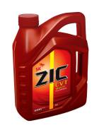 ZIC