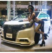 Решетка бамперная. Toyota Voxy, ZRR85G, ZRR80G, ZWR80G Toyota Noah, ZRR85G, ZRR80G, ZWR80G Toyota Esquire, ZWR80G, ZRR85G, ZRR80G Двигатели: 3ZRFAE, 2...