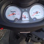 Irbis Nirvana. 150����. ��., ��������, ��� ���, � �������� ����