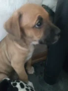 �����.