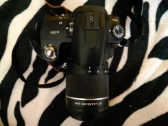 Sony Alpha DSLR-A390. 10 - 14.9 �� ����