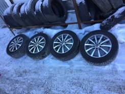 Eurotec ML100. ������, ��� �����, 2010 ���, �/�, ����� 30�% ����