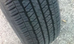 Tristar. �����������, 2013 ���, �/�, ����� 5 % ����