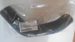 Патрубок радиатора. Subaru Forester, SH5, SH9, SH9L Subaru Legacy, BL5, BL9, BP5, BP9, BPH Subaru Impreza, GE2, GE3, GE6, GE7, GH2, GH3, GH6, GH7, GH8...
