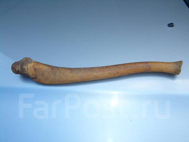 Трусики жоқ әйел клиторын көрсетеді