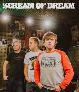 Группе Scream Of Dream нужен гитарист!