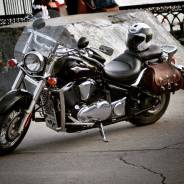 Kawasaki VN Vulcan 900 Classic. 900 куб. см., исправен, птс, с пробегом