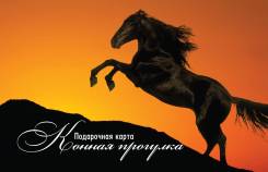Конная прогулка для двоих. Подарочный сертификат.