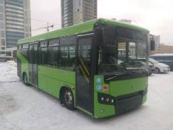 САЗ. Городской Автобус 60, 4 500 куб. см., 56 мест