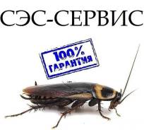 Уничтожение насекомых.