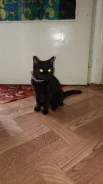 �����.