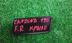 Накладка на крыло. Toyota Corona, ST191, ST190, CT190, CT195, ST195, AT190 Toyota Caldina, CT199, CT197, CT198, CT196, CT190, ET196, ST190, ST191, ST1...